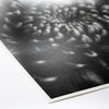 Fine Art Baryta Natural Satin Paper 8 1/2"x11" - 20 Sheets