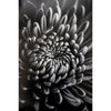Fine Art Baryta Natural Satin Paper 8 1/2"x11" - 20 Sheets